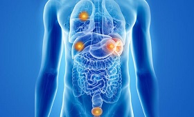 Ogliocare-ESTRO-EORTC.jpg