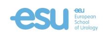 ESU_Logo_compact_blue-Copy-3-(1).jpg